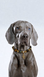 AURA BUDDY · Rock Cross Collar