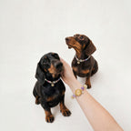 AURA BUDDY · Star Citrine Collar