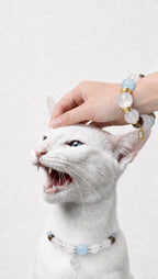 AURA BUDDY · Ocean Breeze Collar