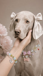 AURA BUDDY · Pastel Bloom Collar